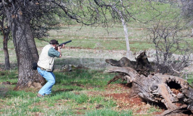 The NorCal Region Abounds in Hunting Opportunities