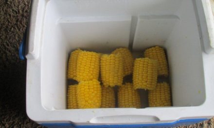 Cooler Corn on the Cobb