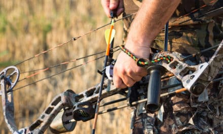 Tips From The Pros Bow Hunting