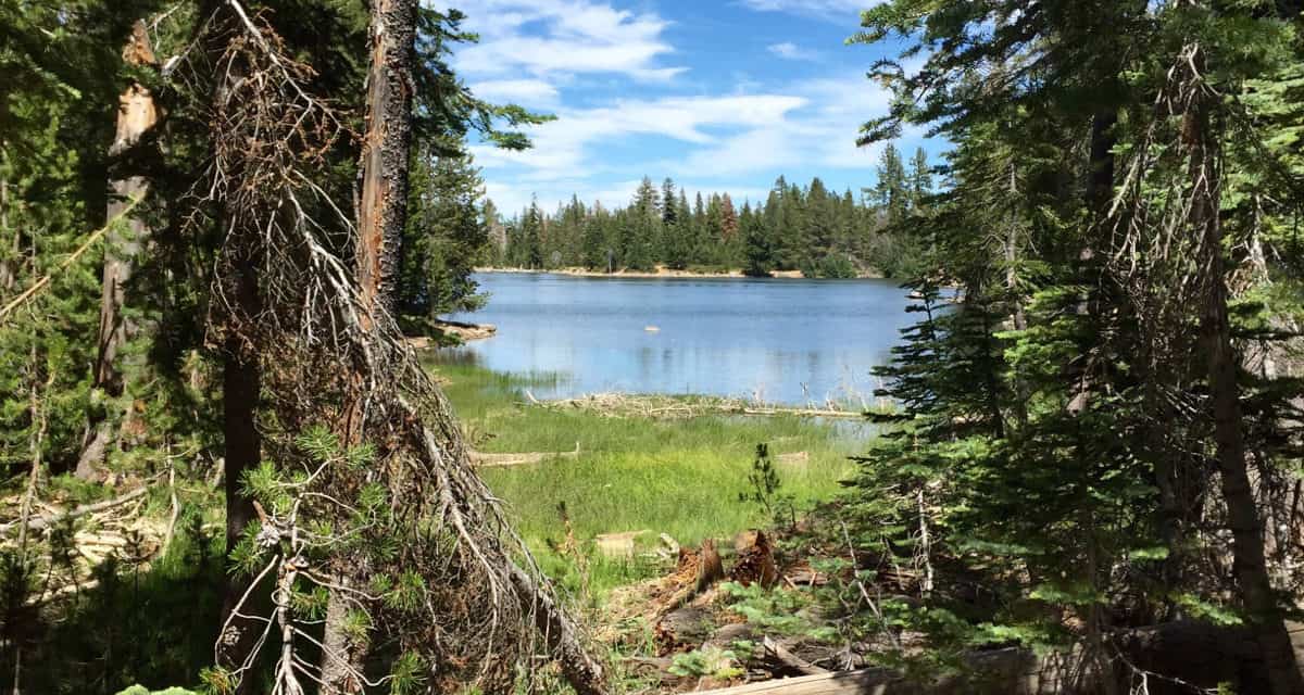 Wandering our local Caribou Wilderness to Jewel Lake