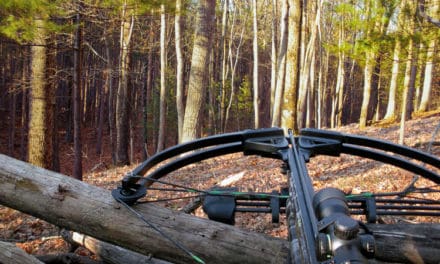 When Are Crossbows Legal?