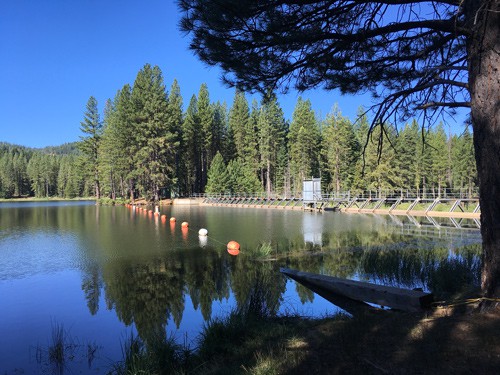 The Restoration of Walker Lake- (Mountain Meadows Reservoir)