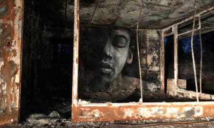 Beauty From Ashes- Shane Grammer’s Street Art in Paradise