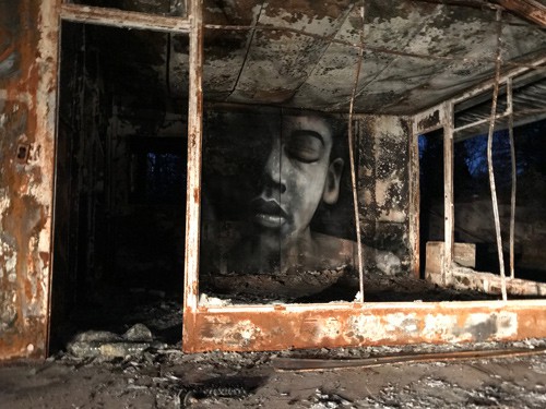 Beauty From Ashes- Shane Grammer’s Street Art in Paradise